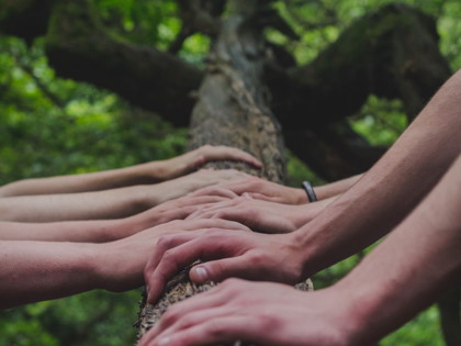 Hands2